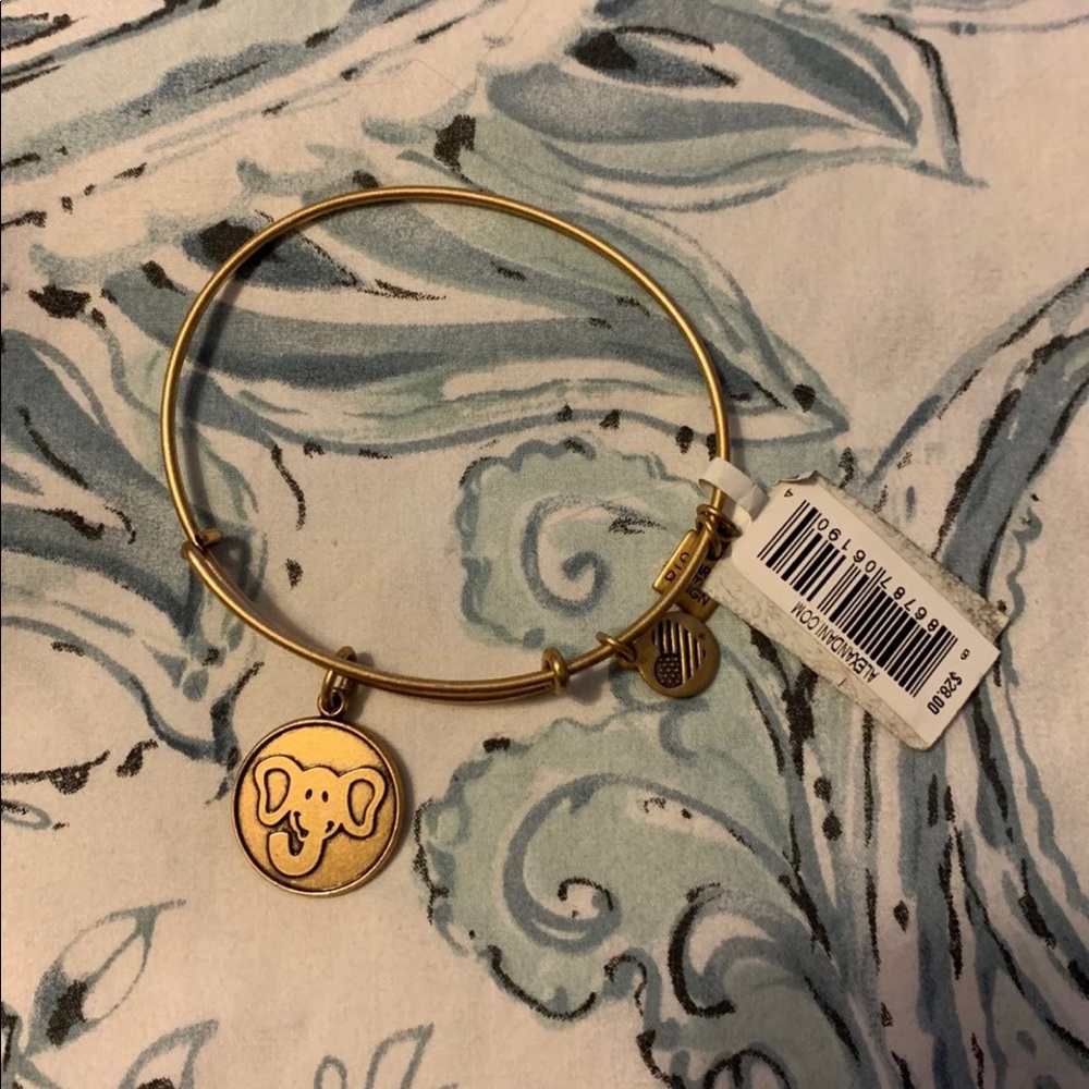Brand new Alex & ani bracelet